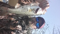 Slow Day on the Tombigbee