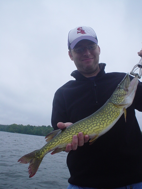 3lb 10oz pickerel